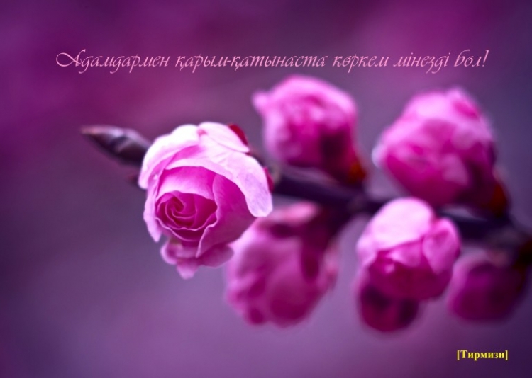 Көркем мінезді қалай қалыптастырамыз? Көркем мінезді қалай қалыптастырамыз? - на bugin.kz